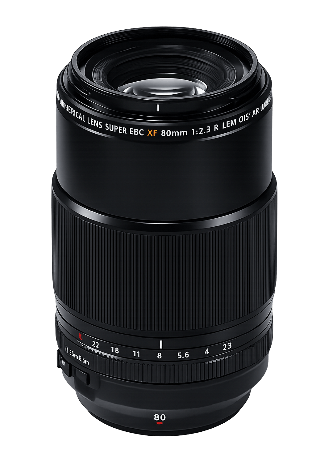 best macro lens for close-up insect