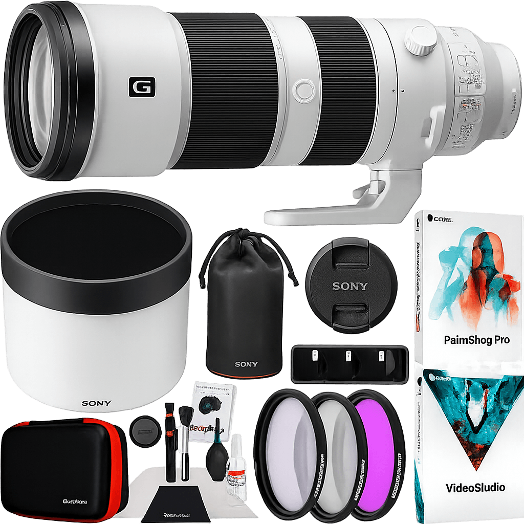 Sony 200-600mm g Oss lens review