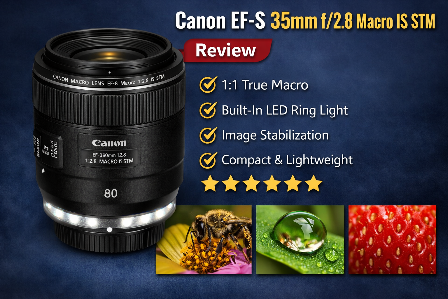 best macro lens for close-up insect
