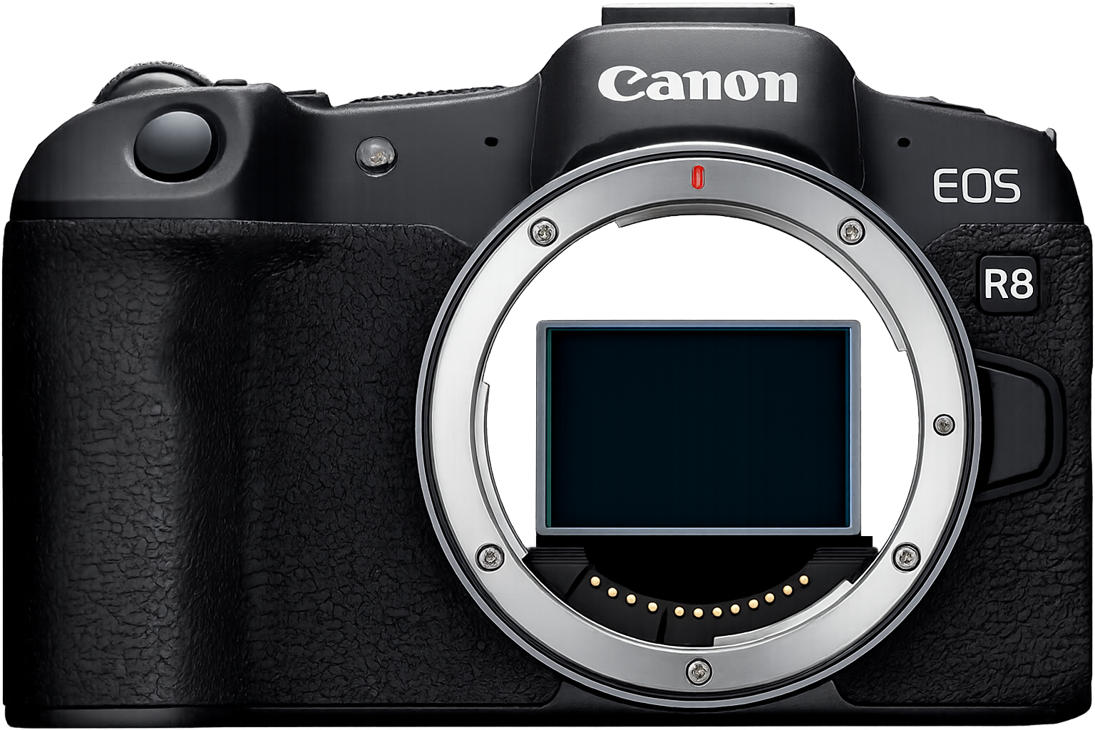 Canon EOS R8 Review: The Affordable Full-Frame Powerhouse for Enthusiasts
