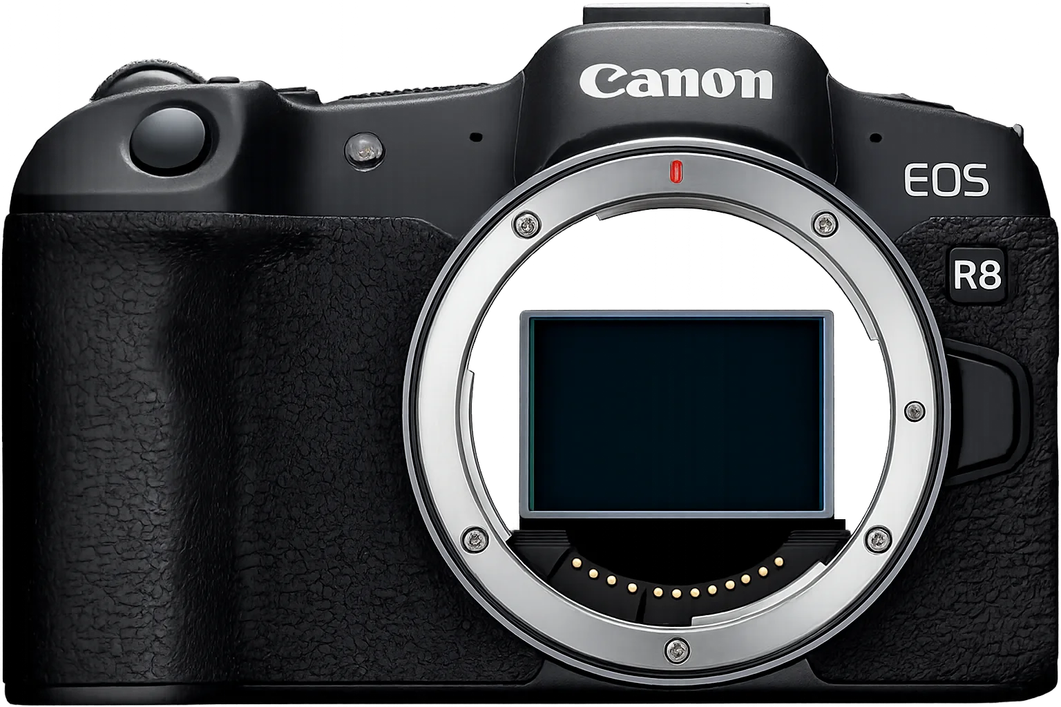 canon eos r8 for enthusiast photographers