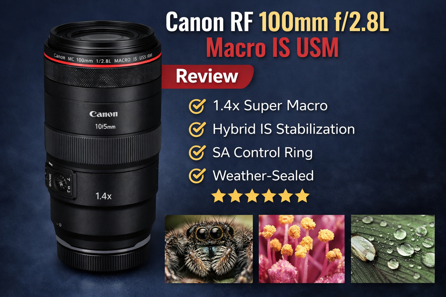 canon rf 100mm macro lens for insects