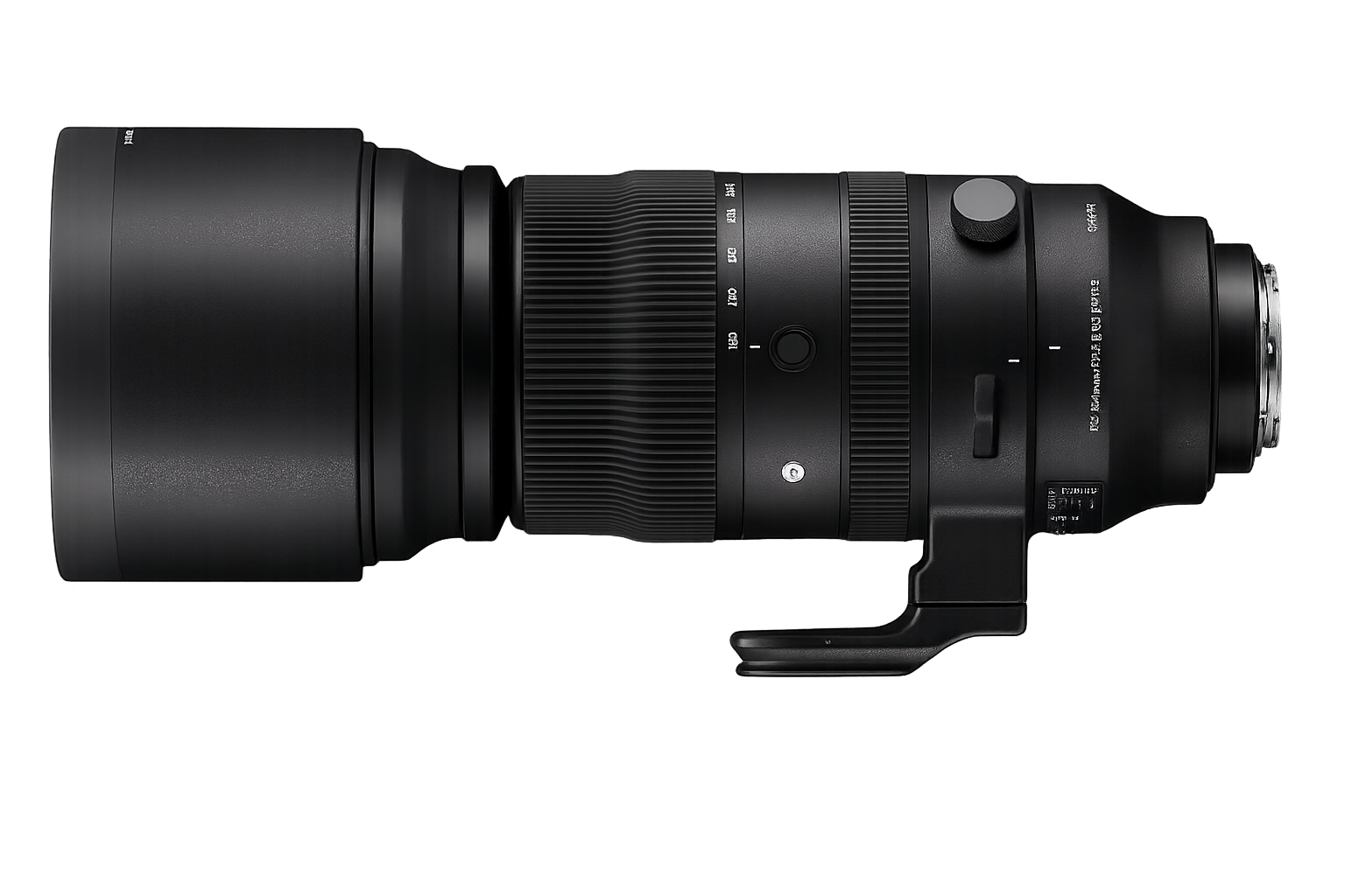 Sigma 150-600mm for Wildlife Photography: Is It Worth It in 2026?