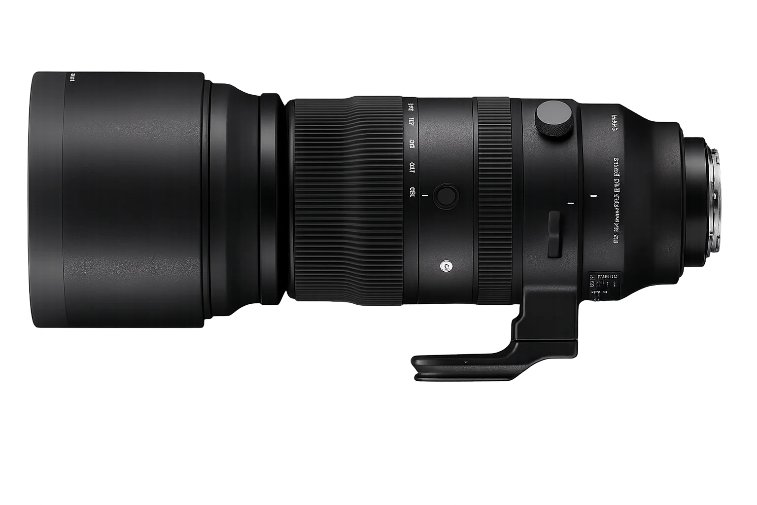 sigma 150-600mm wildlife photography lens
