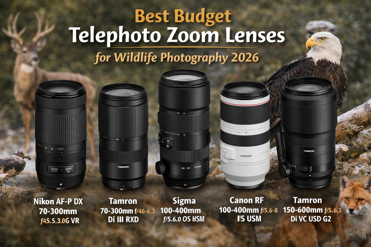 Best Budget Telephoto Zoom Lens for Wildlife: Top 5 Budget Telephoto Lenses for Wildlife Photography 2026